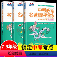 7-9年级[中考必考名著]全套3册 初中通用 [正版]新版智慧背囊1-10辑全套10册初中生作文素材大全中高考作文书中学