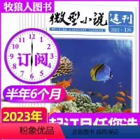 C组[半年订阅]2023年7-12月 [正版]1-14期2023年全年/半年订阅微型小说选刊杂志1-6/7-12月打