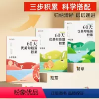 [时光学] 60天优美句段篇积累 全套3册 小学通用 [正版] 60天优美句段篇积累新版全套3册小学生句子段落篇章修辞
