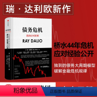 [正版]债务危机 瑞达利欧 RayDalio我的应对原则 原则应对变化中的世界秩序 债务危机达利欧 投资管理出版社图书