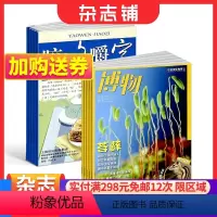 [正版]咬文嚼字+博物 组合杂志全年订阅 2024年1月起订 杂志铺 文学爱好者 中国名家经典文学读物 人文历史 文