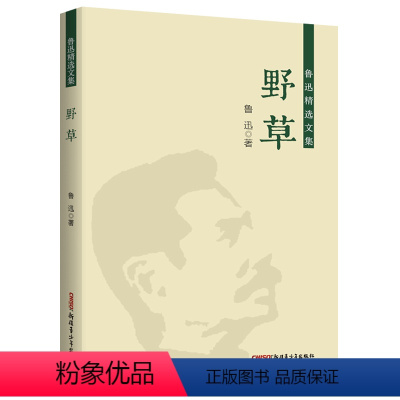 野草 [正版]野草 鲁迅著 散文杂文经典精选作品集 小学初中生四五六七八九年级课外书 鲁迅的文集青少年版图书籍