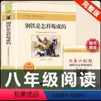 [配套人教版]钢铁是怎样炼成的.送考点 [正版]经典常谈朱自清和钢铁是怎样炼成的必读原著八年级下册课外书初中阅读名著文学