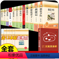 13册]初中中考必读12本名著+文言文全解 [正版]全套12册 初中必读名著十二本朝花夕拾鲁迅原著西游记海底两万里和骆驼