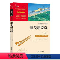 泰戈尔诗选 [正版]儒林外史和简爱人民教育出版社完整版原著书籍 九年级下册课外阅读书籍必读名著青少年文学无删减版初中初三