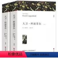 大卫科波菲尔(上下册) [正版]高一必读课外书大卫科波菲尔复活老人与海乡土中国红楼梦百年孤独高中必读名著新语文必读课外书