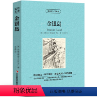 [中英互译]金银岛 [正版]世界十大名著全套中英文10册简爱傲慢与偏见飘巴黎圣母院悲惨世界呼啸山庄茶花女复活红与黑双语书