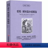 [中英互译]爱伦坡短篇小说精选 [正版]世界十大名著全套中英文10册简爱傲慢与偏见飘巴黎圣母院悲惨世界呼啸山庄茶花女复活