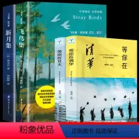 [共4册]飞鸟集+新月集+等你在清华北大 [正版]飞鸟集新月集全套2册 珍藏双语版泰戈尔诗选原著全集散文初中生中学生阅读