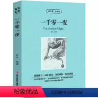 [中英互译]一千零一夜 [正版]世界十大名著全套中英文10册简爱傲慢与偏见飘巴黎圣母院悲惨世界呼啸山庄茶花女复活红与黑双