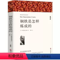 [全译本无删减]钢铁是怎样炼成的 [正版]全译本无删减瓦尔登湖 梭罗的书 纪念版原版原著经典世界名著书自然文学三部