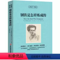 [中英互译]钢铁是怎样炼成的 [正版]中英双语安徒生童话书全集中英文双语名著读物英汉对照互译英语小说安徒生原著 读名著学