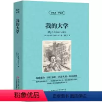 [中英互译]我的大学 [正版]中英双语安徒生童话书全集中英文双语名著读物英汉对照互译英语小说安徒生原著 读名著学英语 高