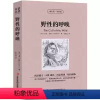 [中英互译]野性的呼唤 [正版]中英双语安徒生童话书全集中英文双语名著读物英汉对照互译英语小说安徒生原著 读名著学英语