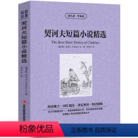 [中英互译]契诃夫短篇小说精选 [正版]中英双语老人与海书中英文双语名著读物英汉对照互译英语小说海明威原著 读名著学英语