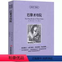 [中英互译]巴黎圣母院 [正版]中英双语安徒生童话书全集中英文双语名著读物英汉对照互译英语小说安徒生原著 读名著学英语