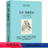 [中英互译]大卫·科波菲尔 [正版]中英双语安徒生童话书全集中英文双语名著读物英汉对照互译英语小说安徒生原著 读名著学英