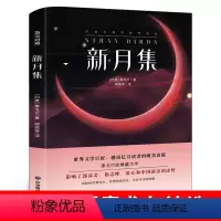 [中英互译]新月集 [正版]中英双语安徒生童话书全集中英文双语名著读物英汉对照互译英语小说安徒生原著 读名著学英语 高中