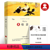 母亲 [正版]39.8元任选4本世界经典名著全44册傲慢与偏见简爱呼兰河传昆虫记红与黑四大名著童年在人间我的大学欧亨利契