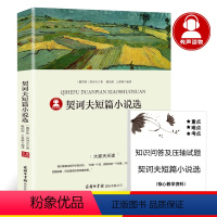 契诃夫短篇小说选 [正版]39.8元任选4本世界经典名著全44册傲慢与偏见简爱呼兰河传昆虫记红与黑四大名著童年在人间我的