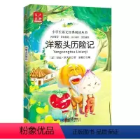 洋葱头历险记 [正版]注音版6册稻草人书小鹿斑比兔子坡爱丽丝全集彩图一年级课外阅读必读书二年级三年级课外书必读小学生儿童
