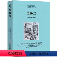 [正版]黑骏马中英文双语书籍名著读物英汉对照小说全套阅读 休厄尔原著 读名著学英语 高初中生课外阅读zy