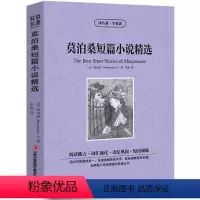 [中英互译]莫泊桑短篇小说精选 [正版]中英双语金银岛书中英文双语名著读物英汉对照互译小说 斯蒂文森原著 读名著学英语