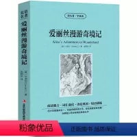 [中英互译]爱丽丝漫游奇境记 [正版]中英双语金银岛书中英文双语名著读物英汉对照互译小说 斯蒂文森原著 读名著学英语 高
