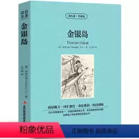 [中英互译]金银岛 [正版]巴黎圣母院中英文双语书籍名著读物英汉对照小说全套阅读 巴黎圣母院原著 读名著学英语 高初中生
