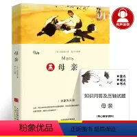 [正版]39.8元任选4本母亲 双色插图原版 高尔基的三部曲 四五六小学生课外阅读必读书籍青少年版读物世界经典外国文学名