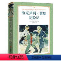 [正版]43章完整版哈克贝利·费恩历险记书全译本原版马克吐温原著经典世界文学名著长篇小说书籍哈克贝利芬历险记汤姆索亚续集