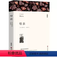 [正版]全译本无删减母亲书 高尔基 世界名著典藏经典世界名著外国文学长篇小说初中生高中生课外阅读书籍中国文联出版社wp