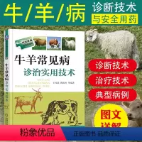 [正版]牛羊常见病诊治实用技术养殖致富直通车养殖牛羊大全牛羊病防治技术书兽医临床工具书畜牧兽医辅导书羊牛常见病防治措施书
