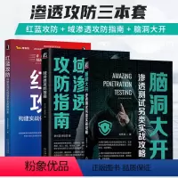 [正版]书籍 域渗透攻防指南 渗透测试另类实战攻略 构建实战化网络安全防御体系 协议原理 漏洞利用 权限维持机械工业出版