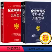 [正版]新版2册 企业所得税实务与税务风险管理+企业纳税实务及风险管理 企业管理税收筹划投资融资经营决策增值税筹划方案书