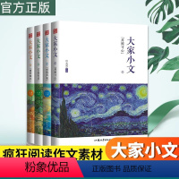 [4册]疯狂阅读作文素材 大家小文 高中通用 [正版]全22册2024作文合唱团高中语文作文素材小人物佳人看电影名人先生