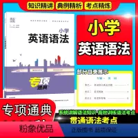 [正版]2023新 通城学典专项冠军小学英语语法通用版英语语法工具书小升初语法解读系统全面小学三四五六3456年级通用版