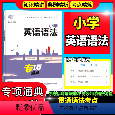 [正版]2023新 通城学典专项冠军小学英语语法通用版英语语法工具书小升初语法解读系统全面小学三四五六3456年级通用版
