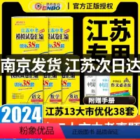 [3本套]恩波江苏中考 语数英 江苏省 [正版]2024新版江苏13大市中考试卷与标准模拟优化38套语文数学英语物理化学