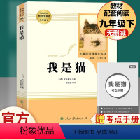 我是猫 人民教育出版社 [正版]简爱书籍原著儒林外史九年级必读人教版人民教育出版社简爱和儒林外史九年级下册必读名著课外阅