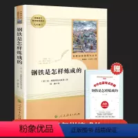 [人教社]钢铁是怎样炼成的 赠配套练习册 [正版]完整版钢铁是怎样炼成的傅雷家书初中原著人民教育出版社人教版初二八年级下