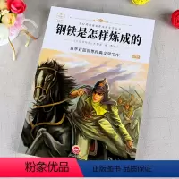 八年级课外书_钢铁是怎样炼成的 [正版]钢铁是怎样炼成的 书原著完整版 初中八年级下世界经典文学名著 初中生课外书老师