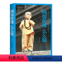 [正版] 阿弥陀佛么么哒 大冰继《乖摸摸头我不大冰的新书全套四五册》暖心励志故事随笔青春励志丛书籍短篇小说集你坏