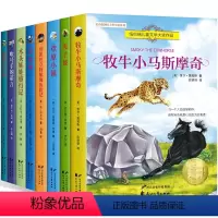 [全8册]纽博瑞文通文学大奖系列 [正版]全8册 兔子坡 常青藤国际大奖小说系列 纽伯瑞儿童文学读物 励志成长故事书