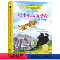 牧牛小马斯摩奇 [正版]全8册 兔子坡 常青藤国际大奖小说系列 纽伯瑞儿童文学读物 励志成长故事书 7-15岁中小学生