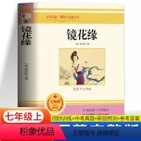 镜花缘 [正版]镜花缘原著 无障碍阅读七年级上册老师课外阅读书目 青少年版白话文初中生课内外文学名著阅读经典诵读书籍 世
