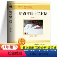 给青年的十二封信 [正版] 给青年的十二封信朱光潜原著完整版 初二八年级下册人教版课外读本 初中生课外世界名著书籍 青少
