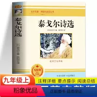 泰戈尔诗选 [正版] 泰戈尔诗选原著未删减 初中生九年级上下册书目读本课外书 外国文学小说世界名著经典诵读新月集飞鸟集泰