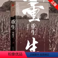 重生 [正版] 人世间全3册 梁晓声 父亲+母亲+活法+觉醒+重生 茅盾文学奖获奖作品 梁晓声小说 百姓生活史新现实