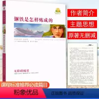 [钢铁是怎样炼成的]原著附考点精练 [正版]同读系列四大名著稻草人夏洛的网骆驼祥子无障碍阅读附考点精练无删减完整版西游记